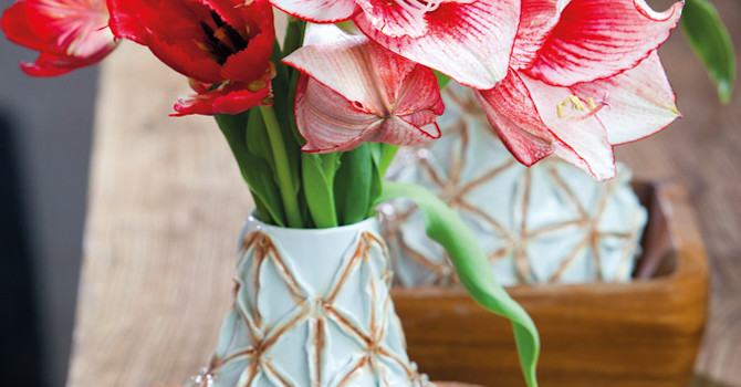 Röda tulpaner tillsammans med Afrikas blå lilja och amaryllis en vacker bukett. Foto: Blomsterfrämjandet