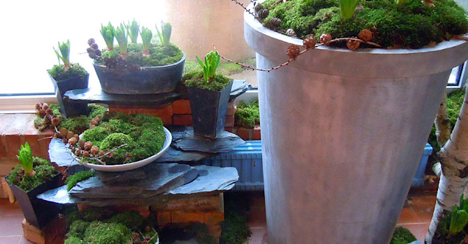 Mossarrangemang med hyacinter - så länge det inte är många minusgraderFoto: Sylvia Svensson