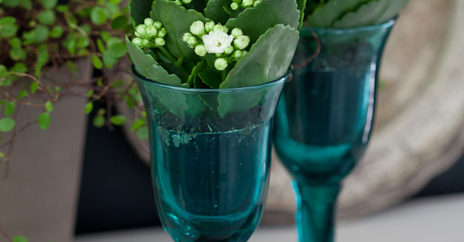 Miniväxter i höga glas blir väldigt vackert! Foto: Blomsterfrämjandet/Minna Mercke Schmidt