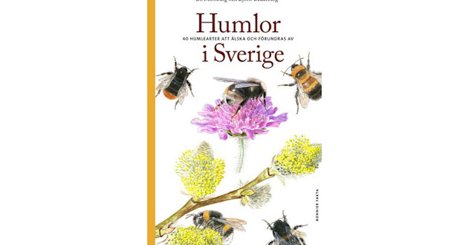 Humlor i Sverige. Av Bo Mossberg och Björn Cederberg