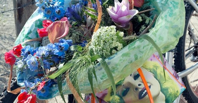 På väg att besöka mamma med en bukett på cykelstyret. Riddarsporre, luktärt, curcuma, slöjsilja, kalla och hirs finns i denna bukett.