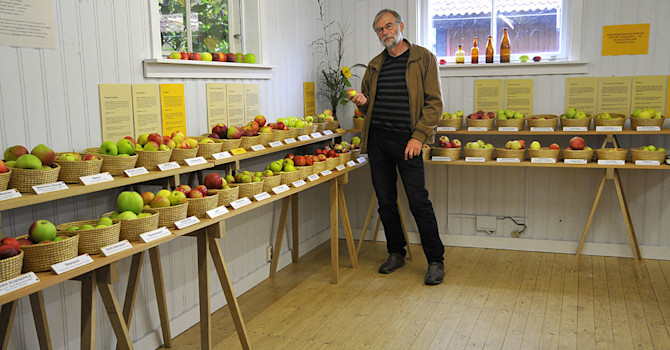 Botaniskas intendent Björn Aldén är ansvarig för utställningen. Foto: Sylvia Svensson