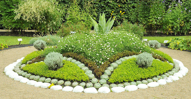 Rund parterr med echeveria, _Echeveria elegans_, helgonört _Santolina_, murbinka _Erigeron karvinskianus_ och agave.
Foto: Sylvia Svensson