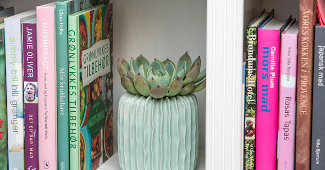 Dekorera med växter! Skapa liv i bokhyllan eller på andra platser med växter som inte kräver så mycket vatten, t.ex. Echeveria.
Foto: Floradania