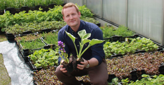 Jonas mitt bland de krukodlade perennerna!