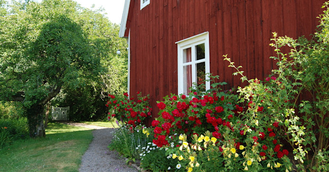 Prunkande och vackert