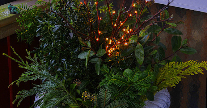 Adventsdekoration med ljusgren