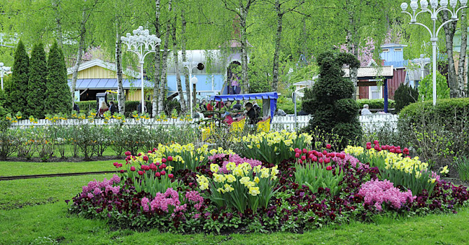 Liseberg blommar 2
Foto: Bernt Svensson