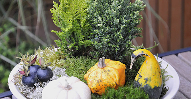 Pumpa-arrangemang med "julenar"Arrangemang + foto: Sylvia Svensson