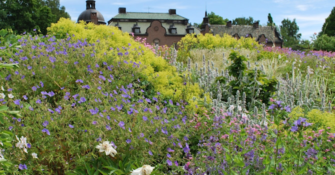 Den vackra slänten i Engsholms slottpark.