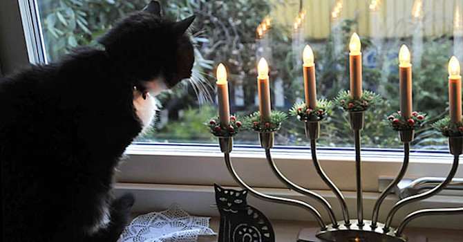 Adventstämning
Arr+foto: Sylvia Svensson
