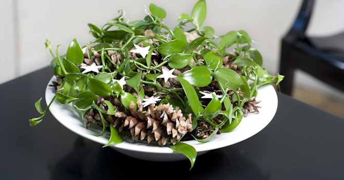 Ett ljust arrangemang till nyår kanske?
Foto: Floradania