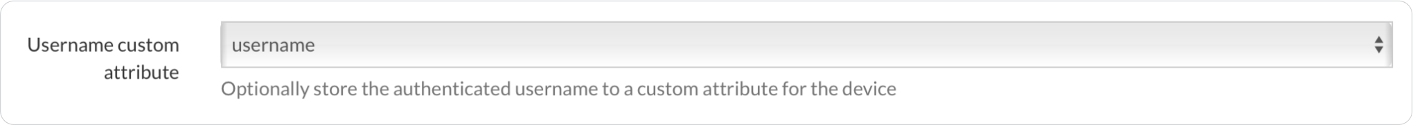 Username custom attributes