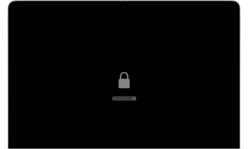 Firmware (EFI) Lock screen that appears before a device boots to the recovery partition.