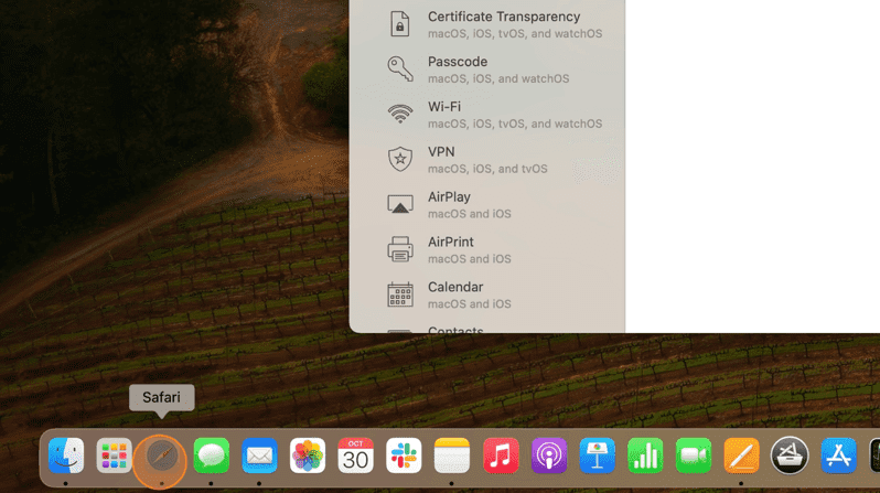 Screenshot showing the Safari icon on the desktop.