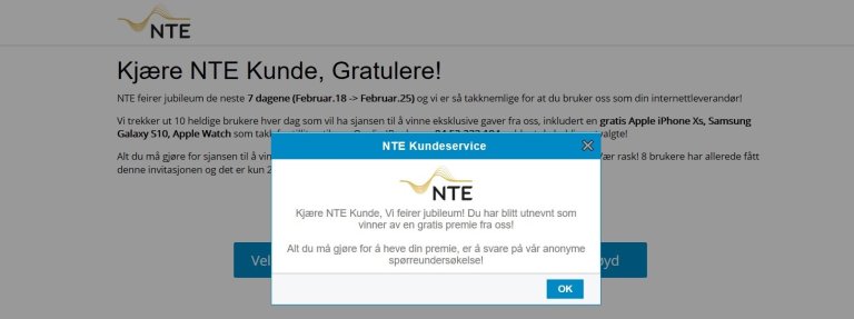 Bilde av en svindel rettet mot NTE kunder