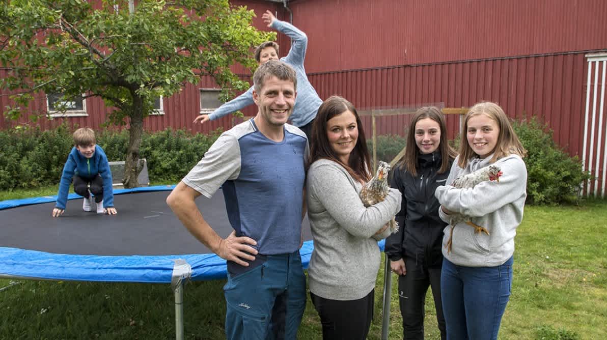 En familie som bord pÄ gÄrd holder hÞner