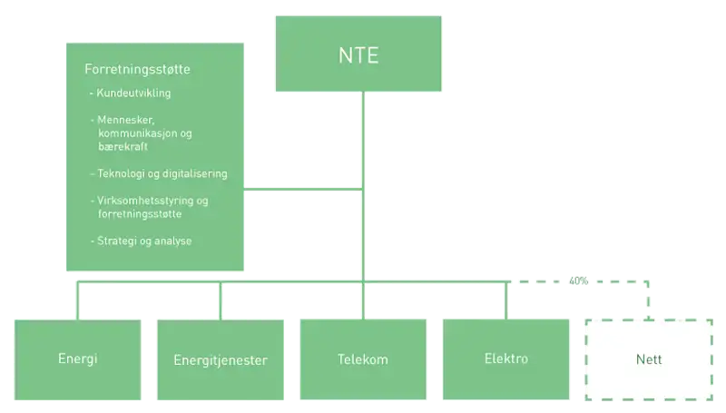 NTEs organisasjonskart fra 2021