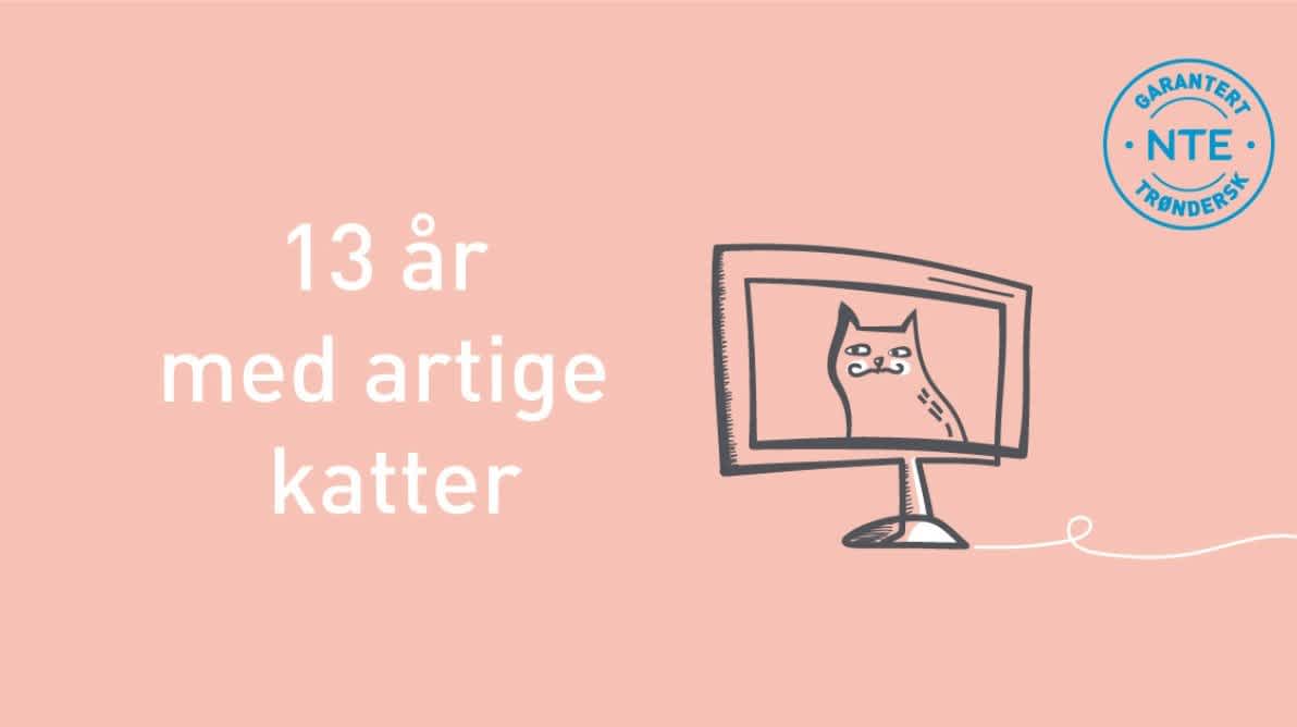 13 Är med katter