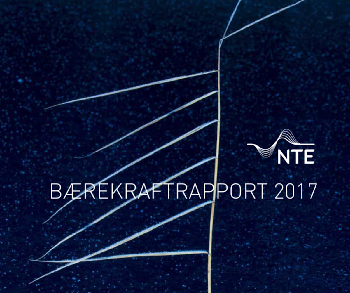 Cover NTE bærekraftsrapport 2017