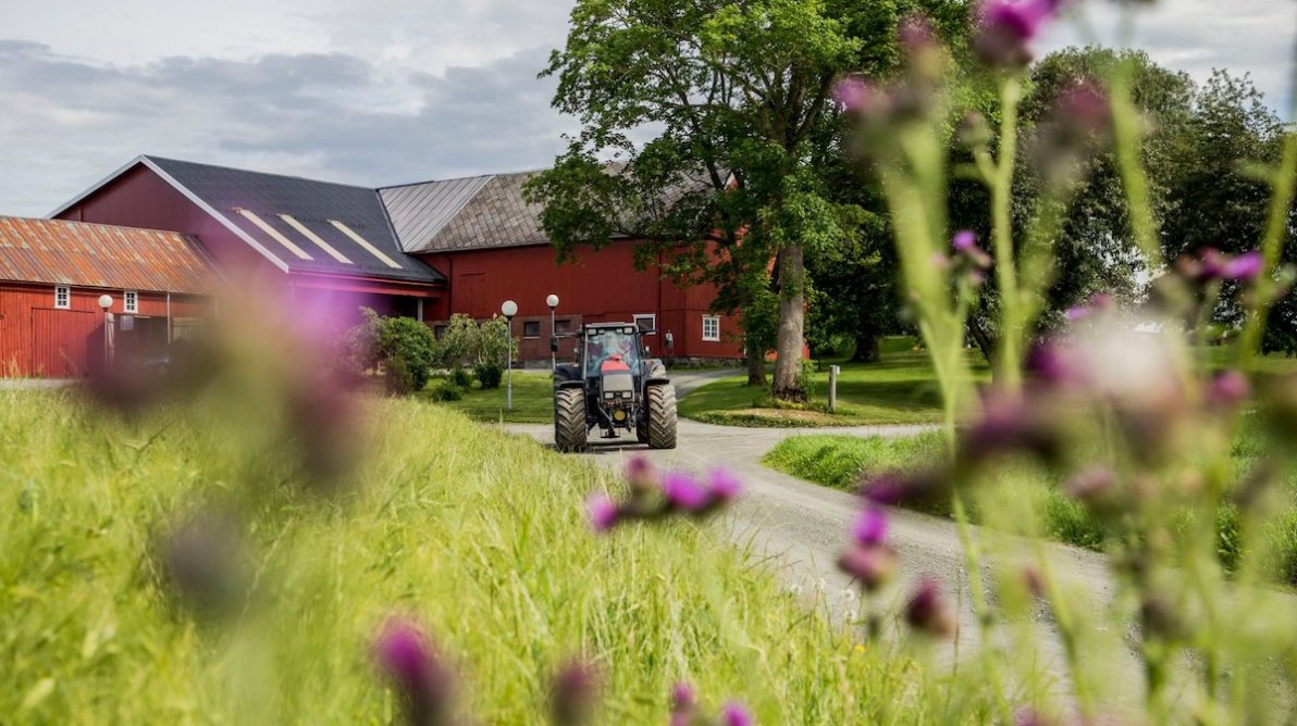 Rød gård med en traktor kjørende på veien