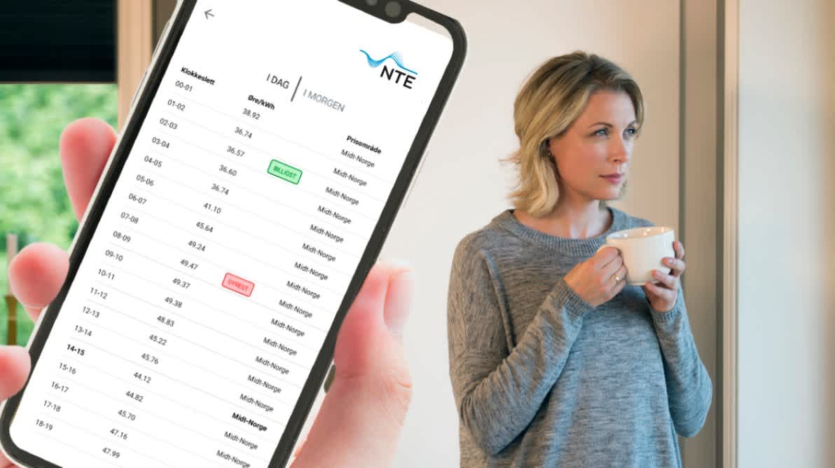 Bilde av NTE appen som viser strømprisen time for time