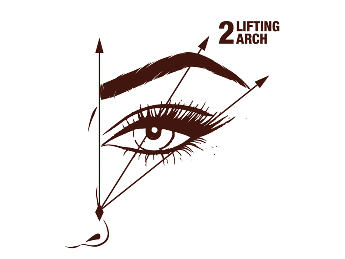 Eyebrow guide illustration lifting arch An illustration on how to fill and line your eyebrows for a lifted look with an eye and nose drawn along with arrows pointing at the start and end of the brow.