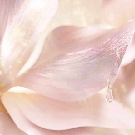 COLLAGENEER COLLAGENEER