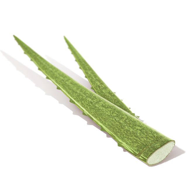 ALOE VERA 1x1 tinted lip oil ingredient aloe vera