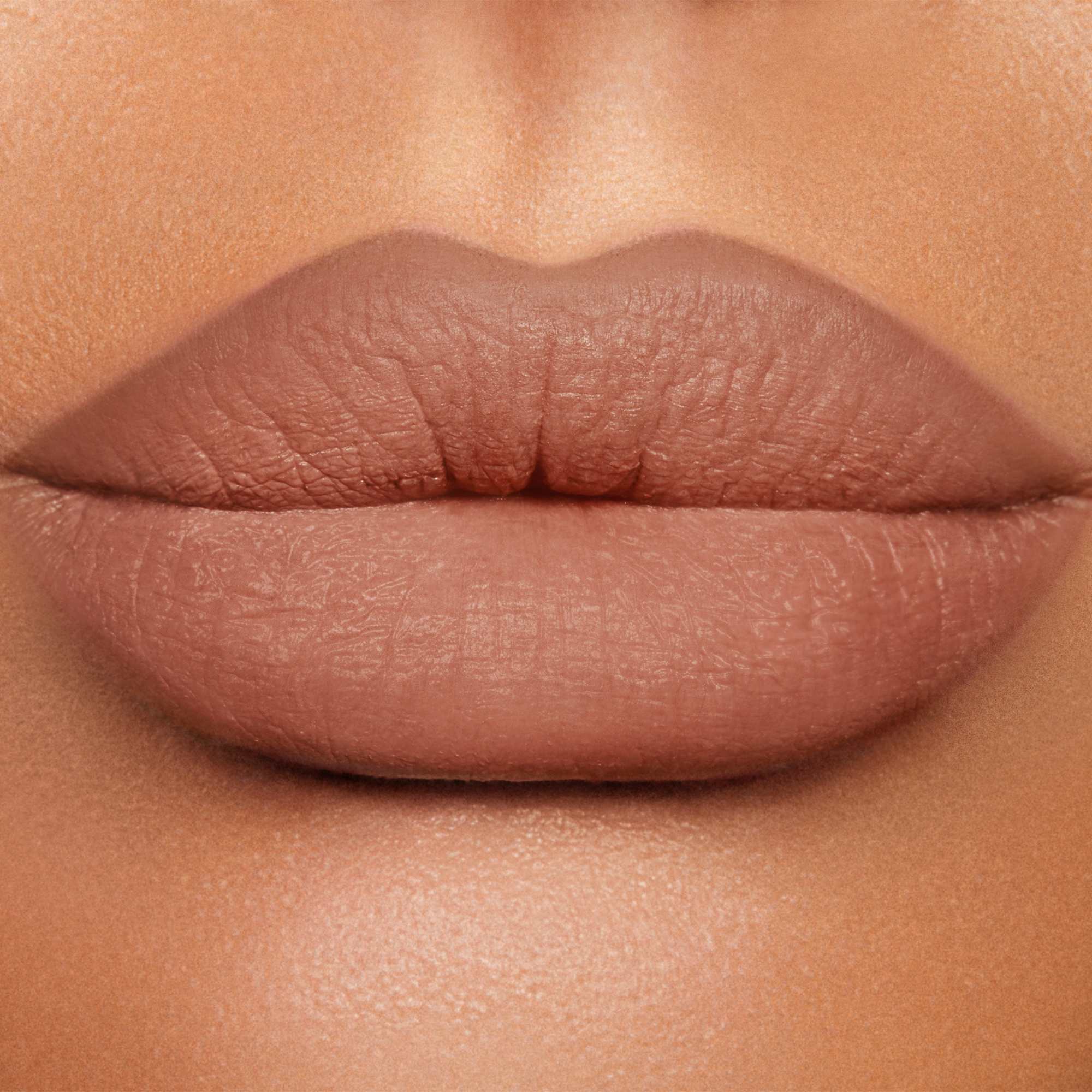 Iconic Nude Lip Cheat lip close up