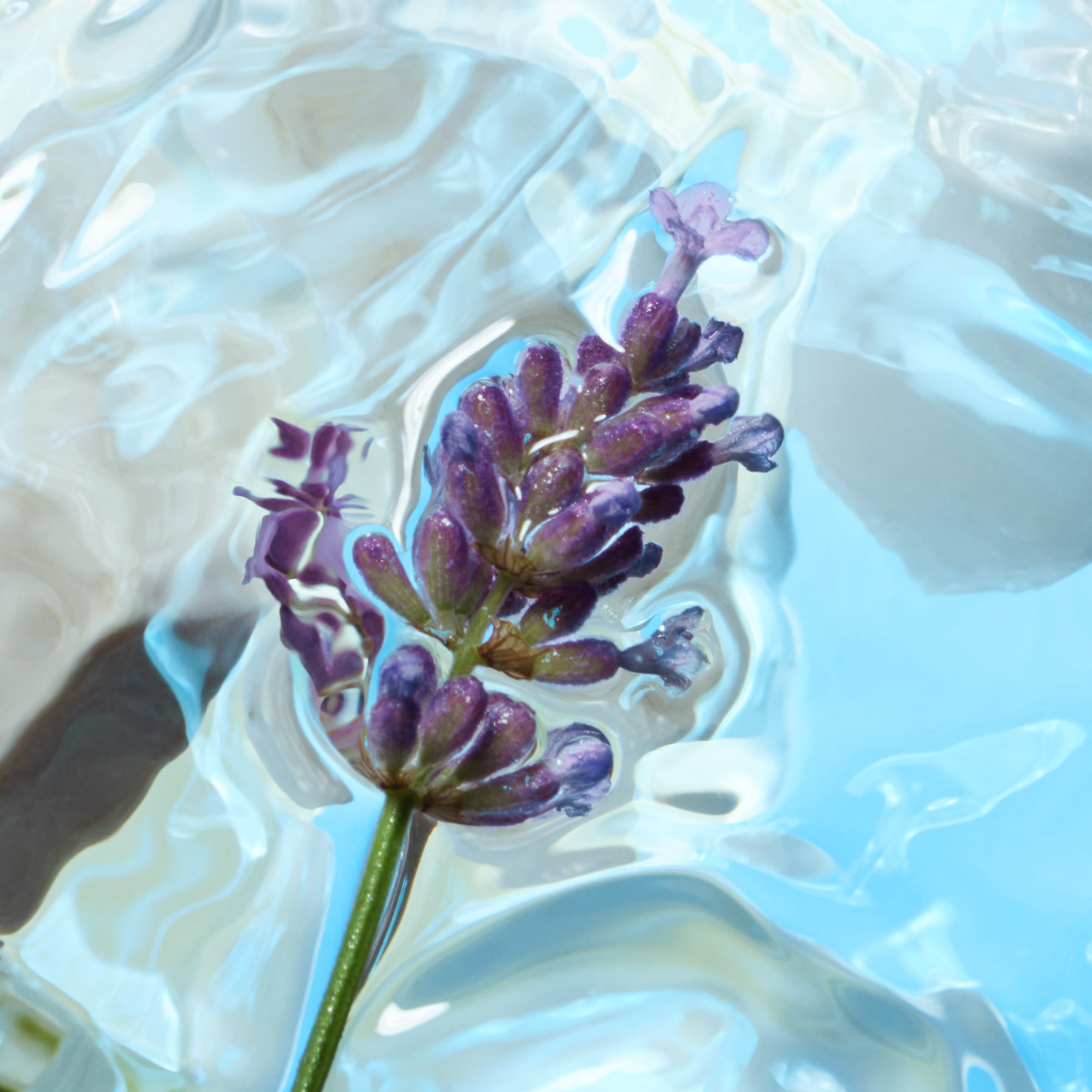 Lavender fragrance ingredient Lavender fragrance ingredient in Charlotte's Calm Bliss eau de parfum