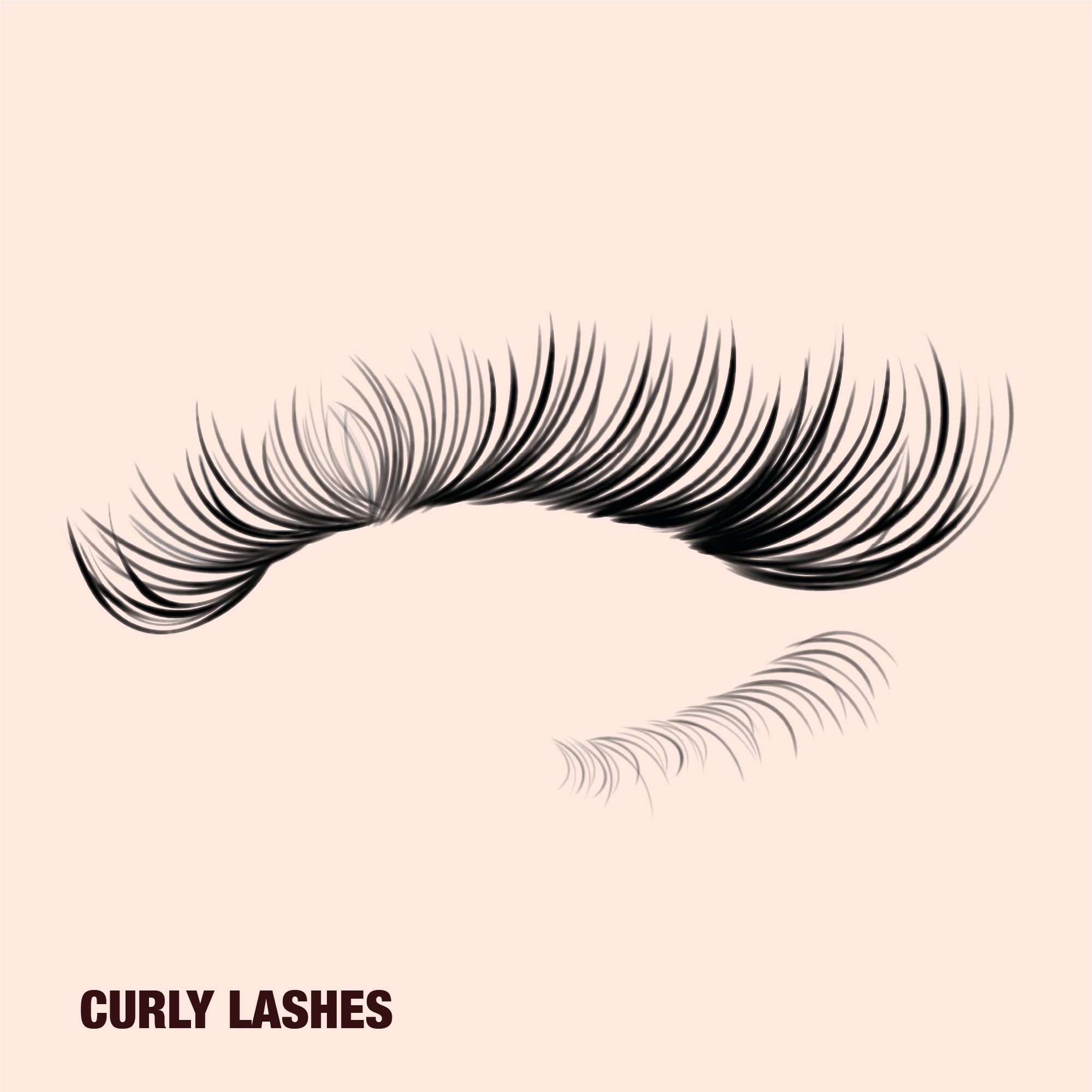 Curly lashes Curly eyelashes with an accentuated bouncy curl