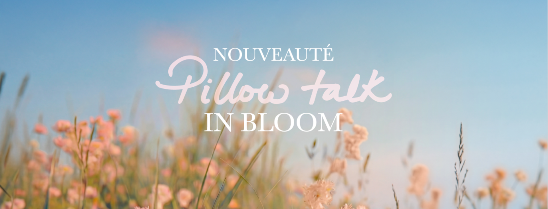 NEW! PILLOW TALK IN BLOOM NEW! PILLOW TALK IN BLOOM