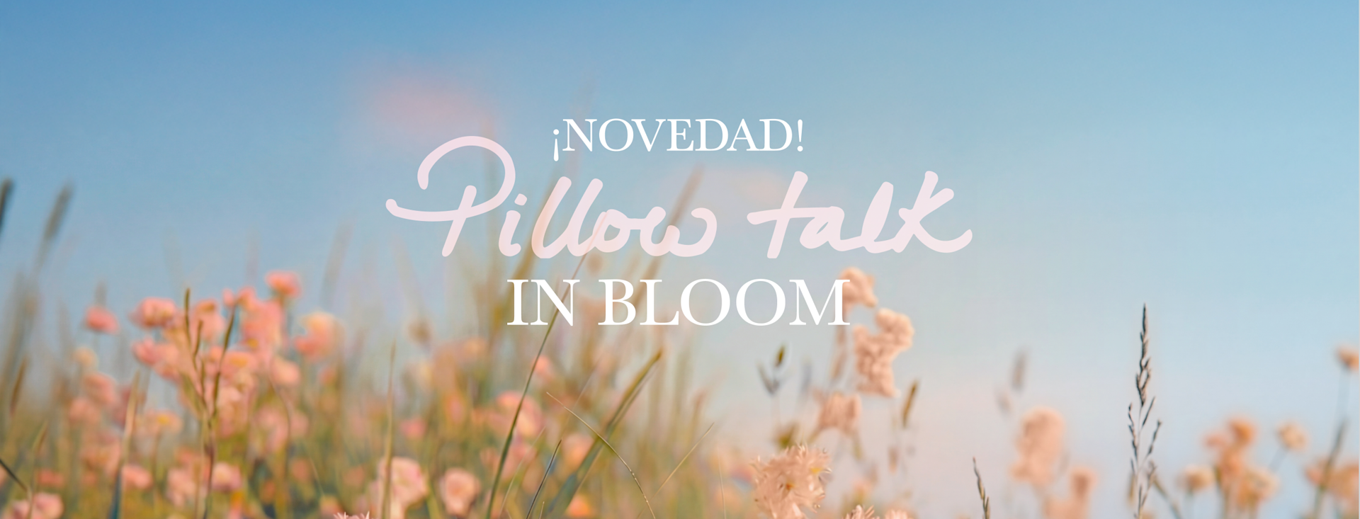 NEW! PILLOW TALK IN BLOOM NEW! PILLOW TALK IN BLOOM