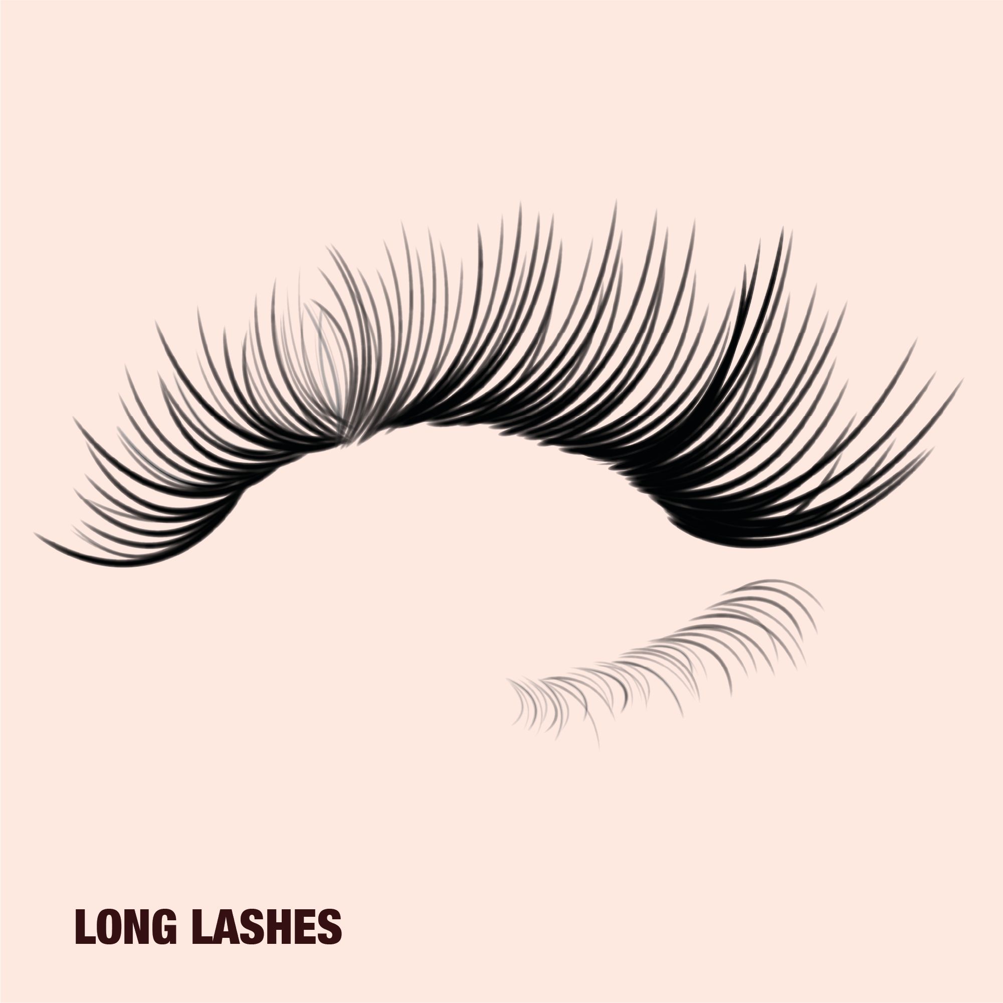 Long Lashes Long eyelashes with a fluttery, wispy look