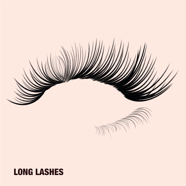 Long Lashes Long eyelashes with a fluttery, wispy look
