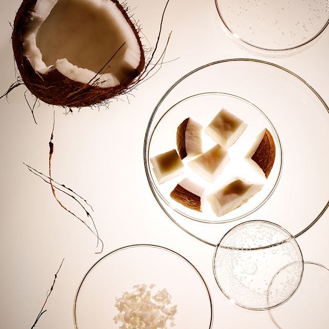 Coconut extract under mircroscope Cut-up coconut pieces under a microscope.