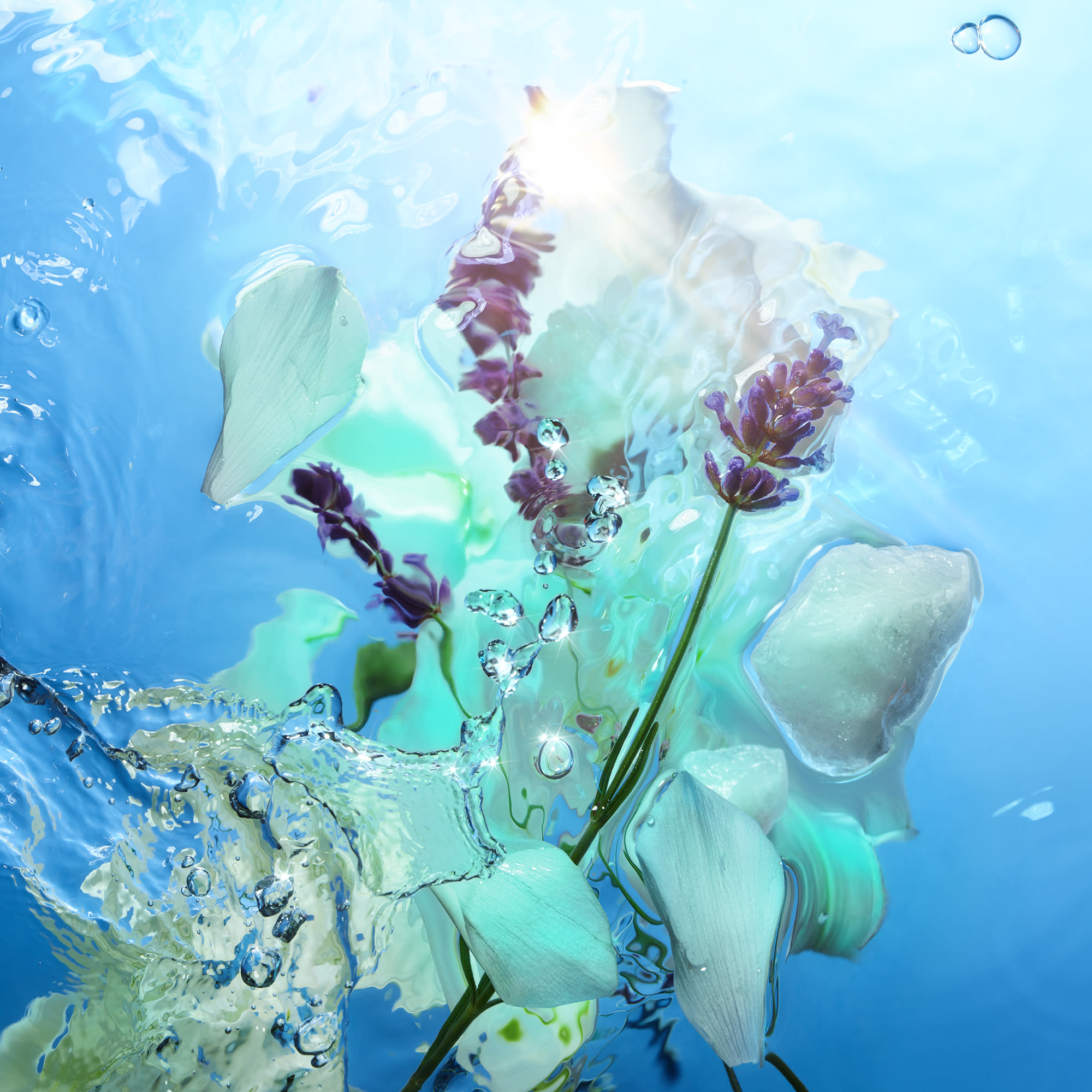 Calm Bliss ingredients The top heart and base notes in Charlotte's Calm Bliss fragrance