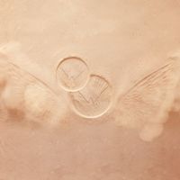 AFF TEASE P1 AFF TEASE P1
