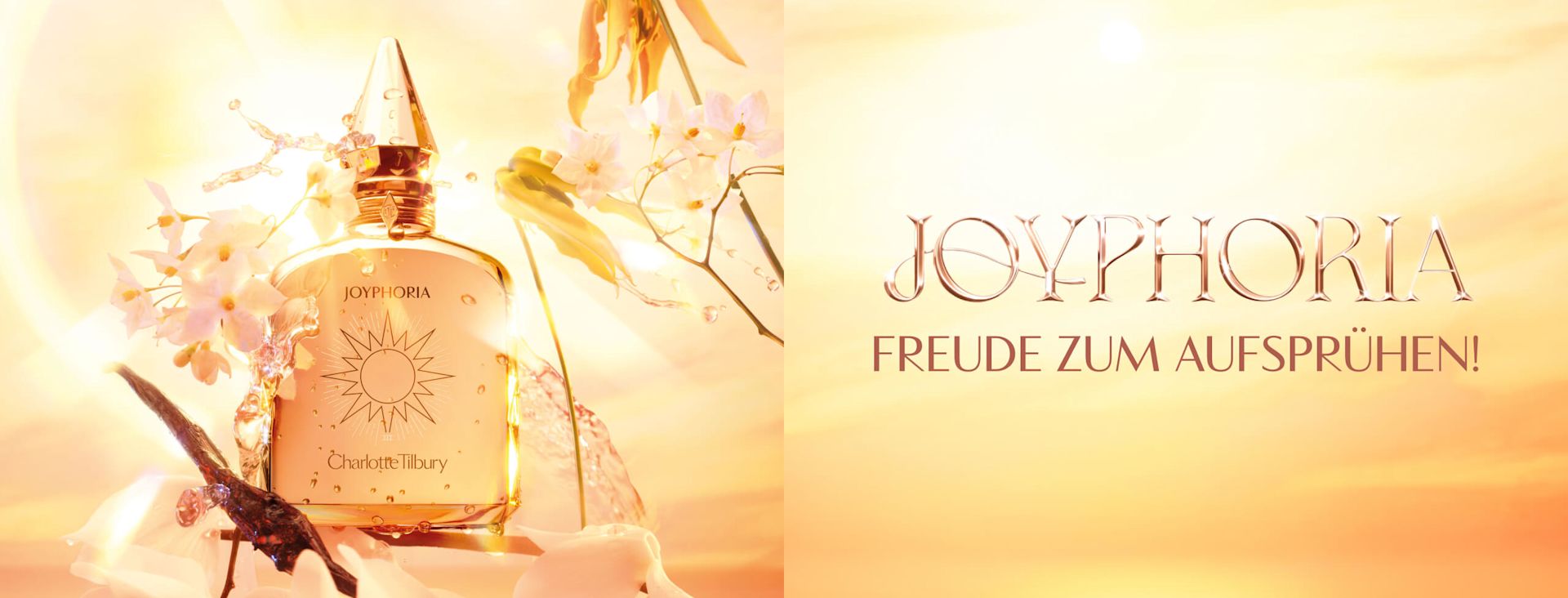 DE-JoyMB DE-JoyMB