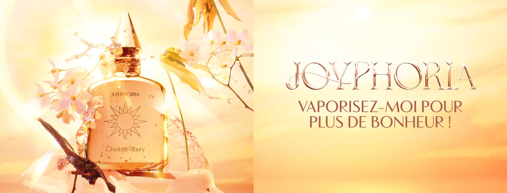 FR-JoyMB FR-JoyMB