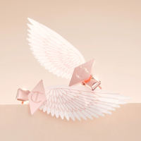 AIRbrush Hair Clips Catbox AIRbrush Hair Clips Catbox