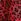Hot Lips 2 Timeless Red Leopard Hot Lips 2 Timeless Red Leopard