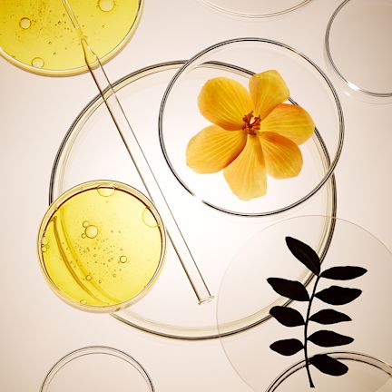 Hyalurosmooth™ banner A vivid yellow-coloured flower in a petri dish with a yellow-tinted liquid next to it.