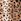 Hot Lips 2 Classic Leopard Hot Lips 2 Classic Leopard