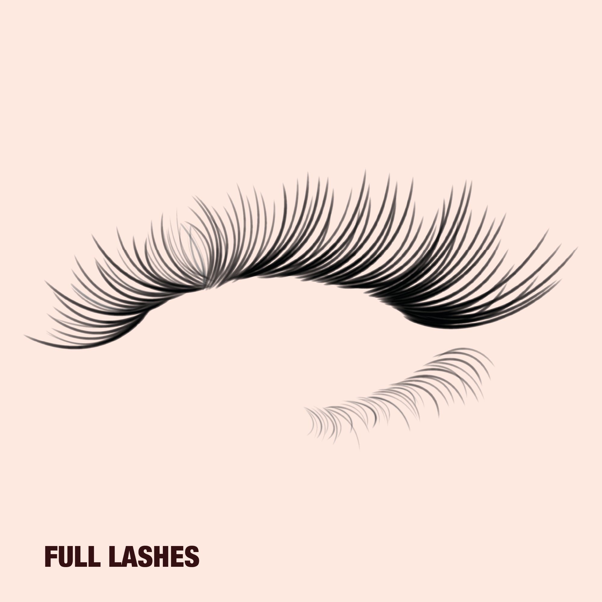 Full lashes Full eyelashes with a voluminous, fanned-out look