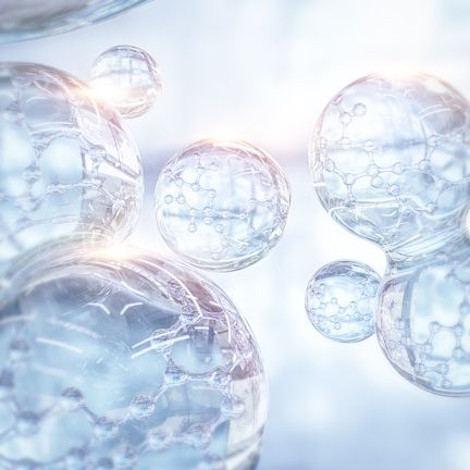 SODIUM HYALURONATE SODIUM HYALURONATE