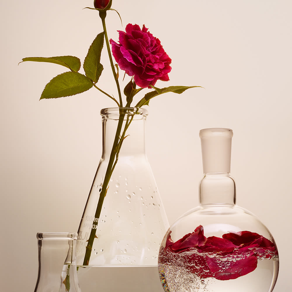 Rose complex banner A single rose stem in a glass laboratory apparatus along with a crushed rose being simmered in a clear liquid in an another apparatus next to it.