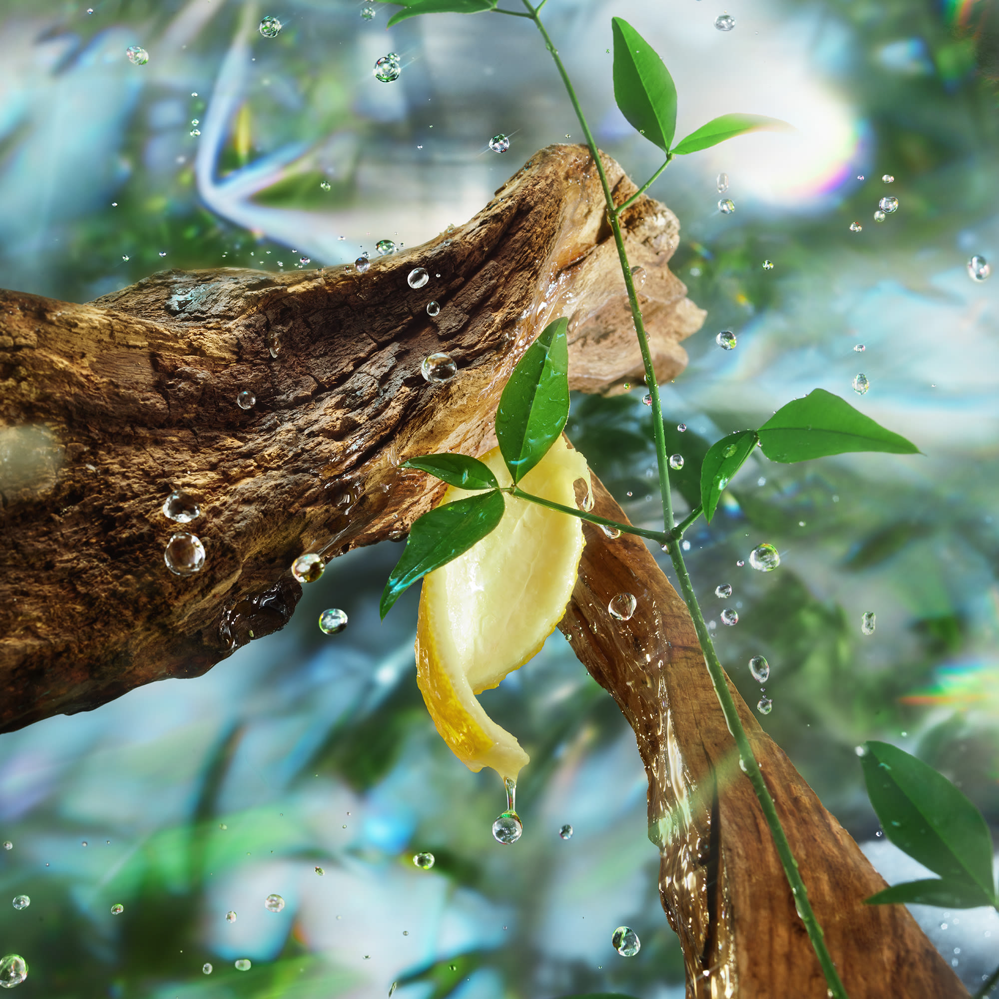 Magic Energy ingredients The top heart and base notes in Charlotte's Magic Energy fragrance