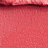 Matte Revolution Amazing Grace Lipstick Swatch Matte Revolution Amazing Grace Lipstick Swatch